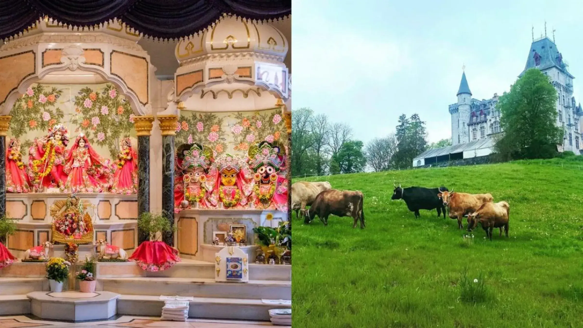 Radhadesh accommodation 8