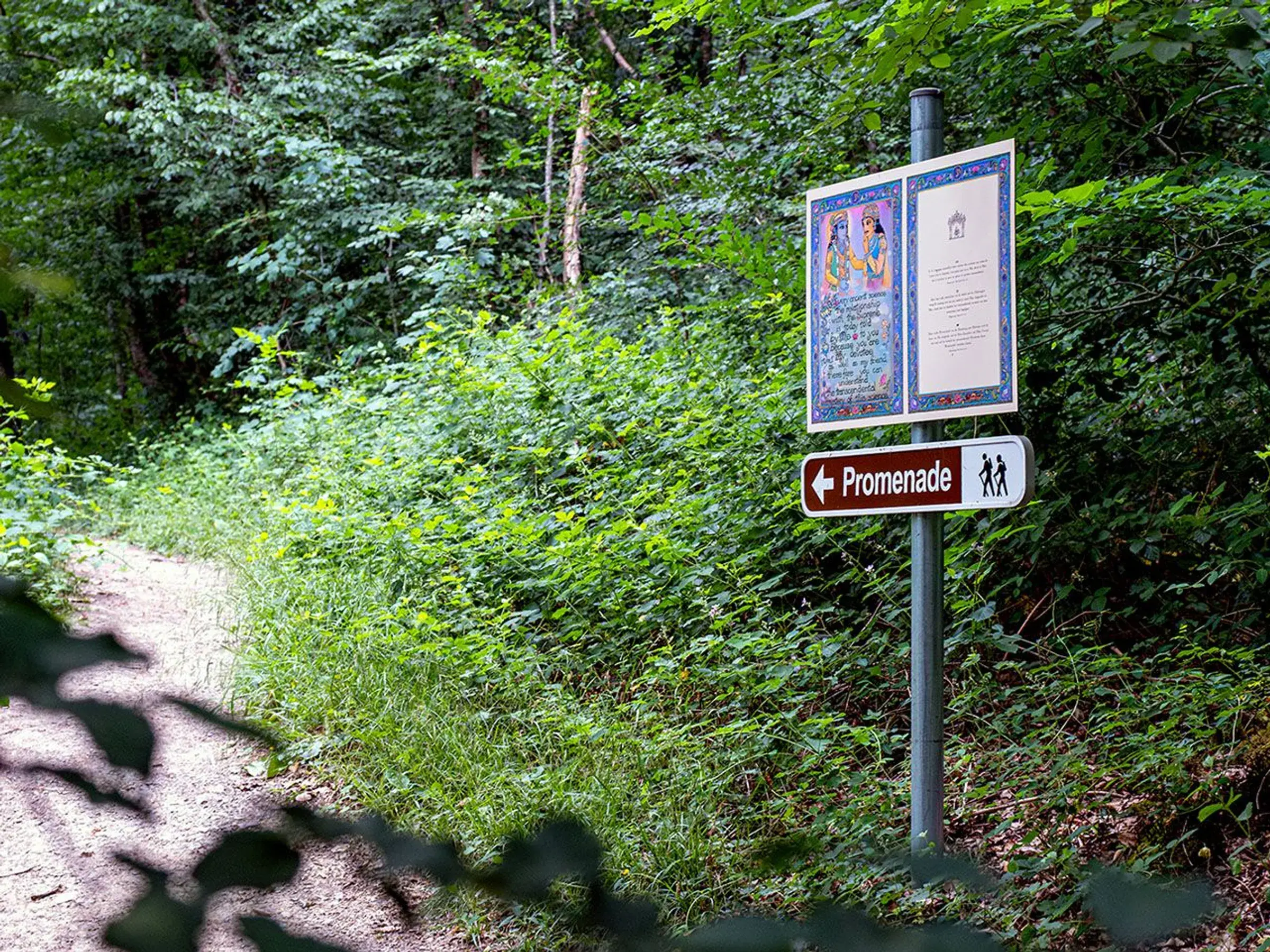 Plimbari natura & experiente locale